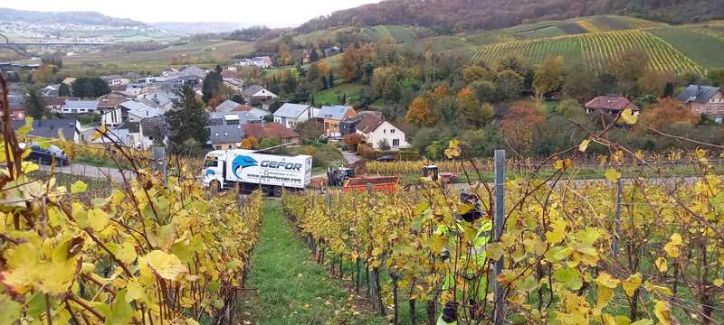 Forage dirigé dans les vignes pour Sogeroute au Luxembourg